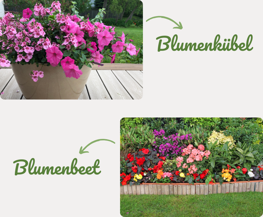 Anwendung EIFEL Bio Blumenerde – 100 % torffrei, nachhaltig & nährstoffreich